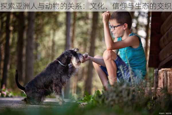 探索亚洲人与动物的关系:文化、信仰与生态的交织