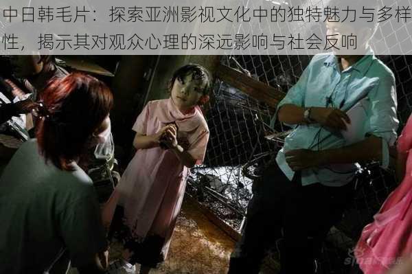 中日韩毛片:探索亚洲影视文化中的独特魅力与多样性,揭示其对观众心理的深远影响与社会反响