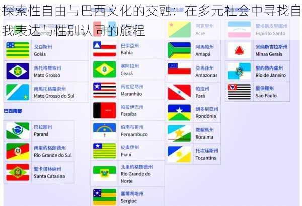 探索性自由与巴西文化的交融:在多元社会中寻找自我表达与性别认同的旅程