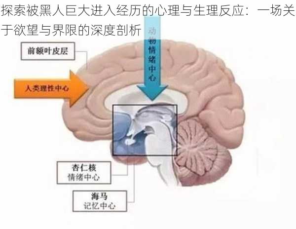 探索被黑人巨大进入经历的心理与生理反应:一场关于欲望与界限的深度剖析