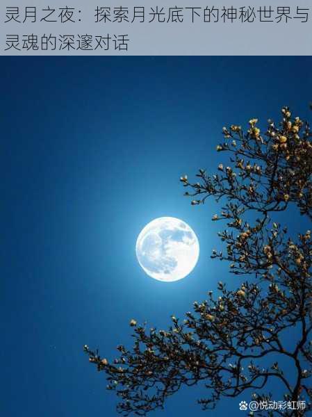 灵月之夜:探索月光底下的神秘世界与灵魂的深邃对话