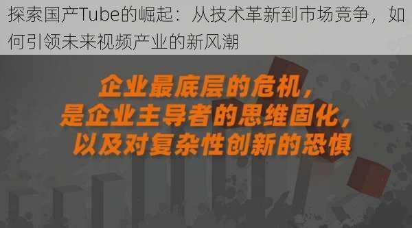 探索国产Tube的崛起:从技术革新到市场竞争,如何引领未来视频产业的新风潮