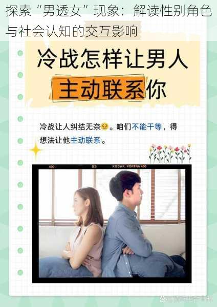 探索“男透女”现象:解读性别角色与社会认知的交互影响