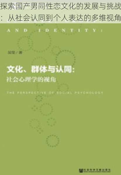 探索国产男同性恋文化的发展与挑战:从社会认同到个人表达的多维视角