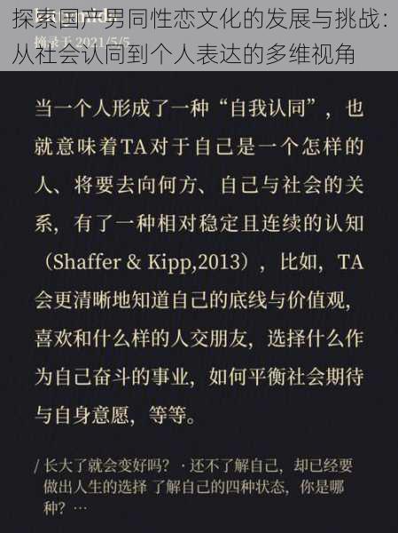 探索国产男同性恋文化的发展与挑战:从社会认同到个人表达的多维视角
