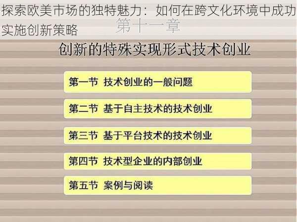 探索欧美市场的独特魅力:如何在跨文化环境中成功实施创新策略