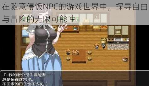 在随意侵饭NPC的游戏世界中,探寻自由与冒险的无限可能性