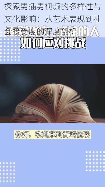 探索男插男视频的多样性与文化影响:从艺术表现到社会接受度的深度剖析