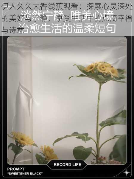 伊人久久大香线蕉观看:探索心灵深处的美好与宁静,享受生活中的点滴幸福与诗意