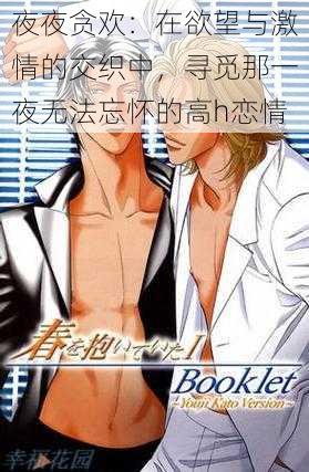 夜夜贪欢：在欲望与激情的交织中，寻觅那一夜无法忘怀的高h恋情