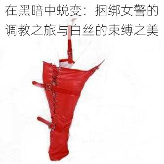 在黑暗中蜕变：捆绑女警的调教之旅与白丝的束缚之美