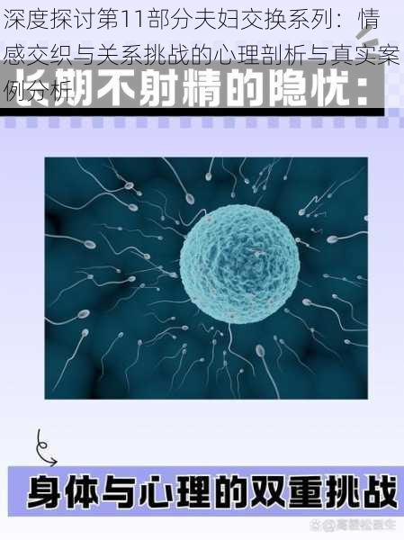 深度探讨第11部分夫妇交换系列:情感交织与关系挑战的心理剖析与真实案例分析