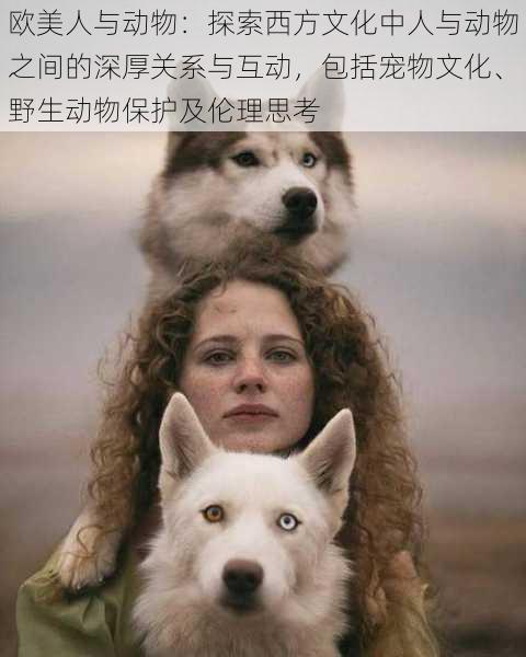 欧美人与动物:探索西方文化中人与动物之间的深厚关系与互动,包括宠物文化、野生动物保护及伦理思考