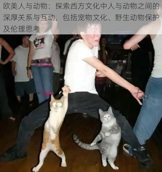 欧美人与动物:探索西方文化中人与动物之间的深厚关系与互动,包括宠物文化、野生动物保护及伦理思考