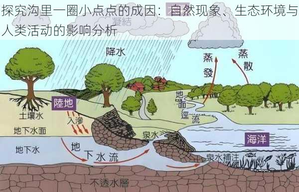探究沟里一圈小点点的成因:自然现象、生态环境与人类活动的影响分析