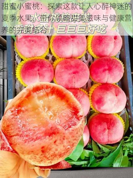 甜蜜小蜜桃:探索这款让人心醉神迷的夏季水果,带你领略甜美滋味与健康营养的完美结合