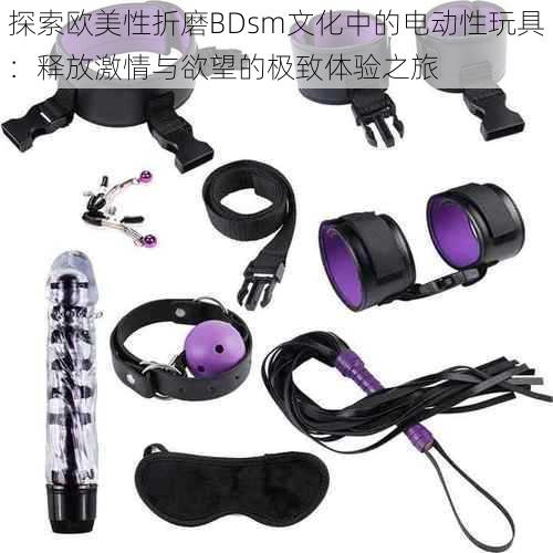 探索欧美性折磨BDsm文化中的电动性玩具:释放激情与欲望的极致体验之旅
