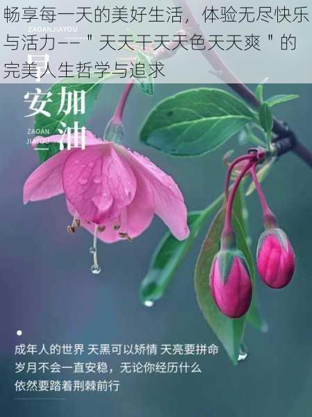 畅享每一天的美好生活，体验无尽快乐与活力——＂天天干天天色天天爽＂的完美人生哲学与追求
